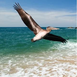 Playas certificadas